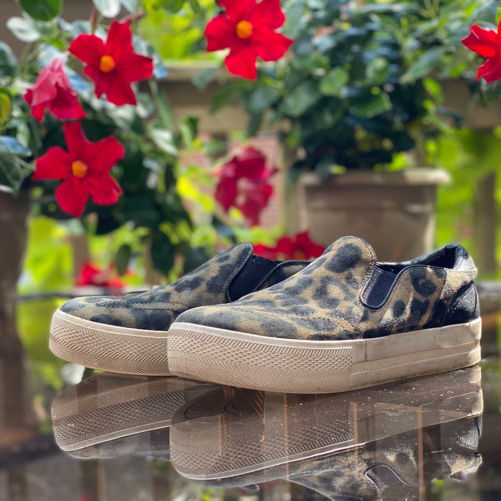 ASH slip ons